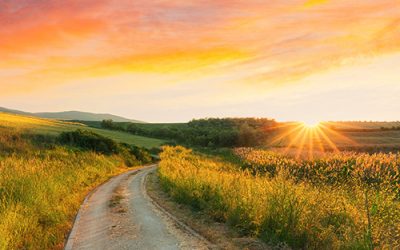 We Pray, Are We Ready For the Way…